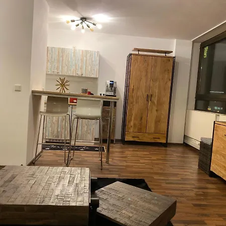 Luxury Studio In The Dusseldorf Center Διαμέρισμα *